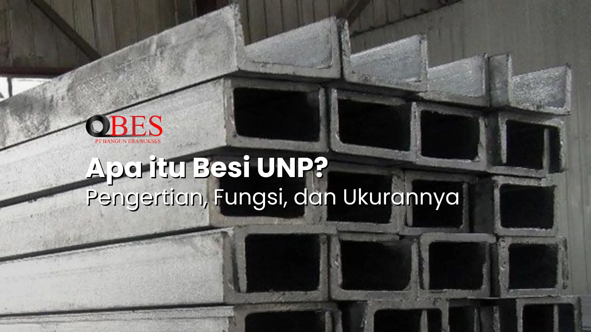 apa itu besi unp